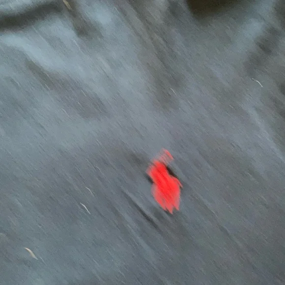 Ralph Lauren long sleeve Navy blue top. Size Largr - Picture 3 of 3